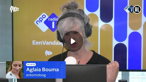 EenVandaag